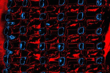 soyut mavi ve kırmızı doku, grunge arkaplan, boşluk duvar kağıdını kopyala