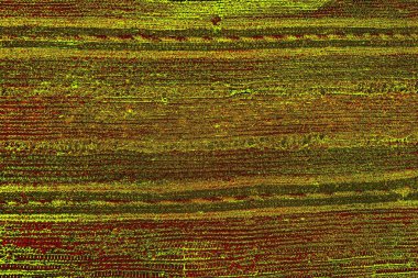 Boşluk duvar kağıdını, grunge arkaplanını, soyut renkli doku arkaplanını kopyala