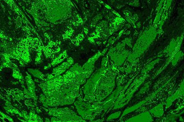 Soyut renk dokusu, grunge arkaplanı, boşluk duvar kağıdını kopyala