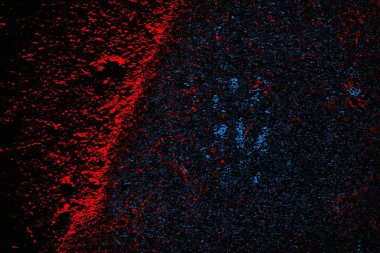 soyut mavi ve kırmızı doku, grunge arkaplan, boşluk duvar kağıdını kopyala