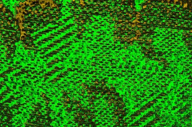 soyut yeşil doku arkaplanı, boşluk duvar kağıdını kopyala