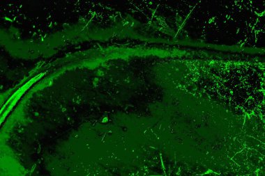 Soyut renk dokusu, grunge arkaplanı, boşluk duvar kağıdını kopyala