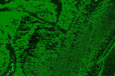 soyut yeşil doku arkaplanı, boşluk duvar kağıdını kopyala