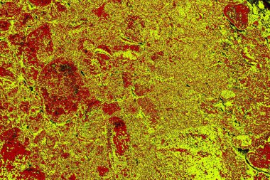 Soyut pejmürde bir doku. Asit grunge arkaplanı, metin veya reklamınız için boşluk resmini kopyala