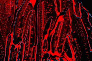 Soyut kırmızı doku arkaplanı, uzay duvar kağıdını kopyala