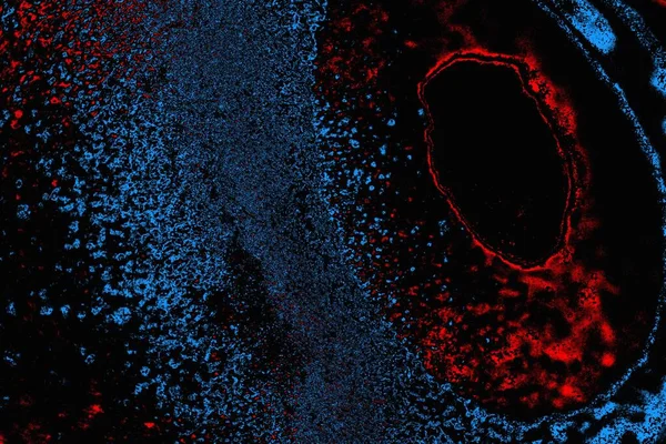 Абстрактная Синяя Красная Текстура Гранж Фон Обои Копирования Пространства — стоковое фото