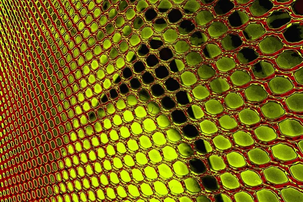  grunge arkaplanı, boşluk duvar kağıdını kopyala, soyut renkli doku arkaplanı