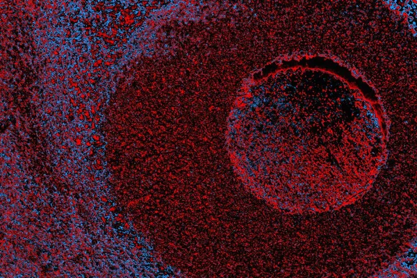 parlak kırmızı doku arkaplanı, boşluk duvar kağıdını kopyala