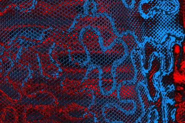 soyut mavi ve kırmızı doku, grunge arkaplan, boşluk duvar kağıdını kopyala