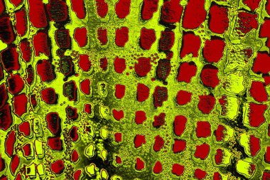 soyut renkli doku arkaplanı, uzay duvar kağıdını kopyala