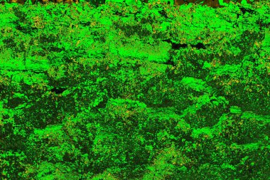 Soyut renk dokusu, grunge arkaplanı, boşluk duvar kağıdını kopyala