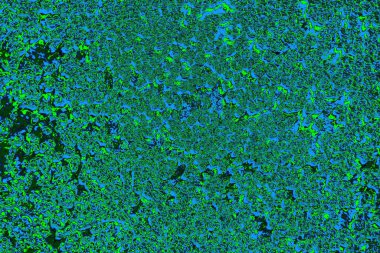 Boşluk duvar kağıdını, grunge arkaplanını, soyut renkli doku arkaplanını kopyala