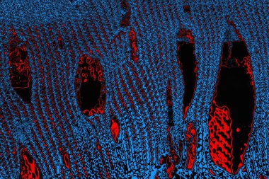 soyut mavi ve kırmızı doku, grunge arkaplan, boşluk duvar kağıdını kopyala