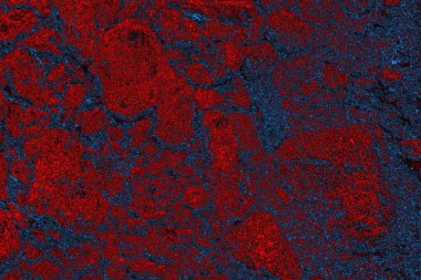 soyut mavi ve kırmızı doku, grunge arkaplan, boşluk duvar kağıdını kopyala