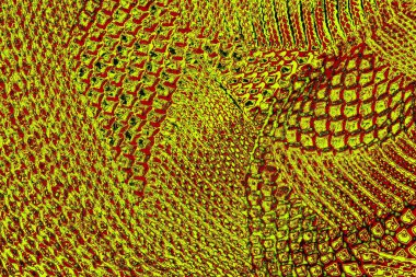 Boşluk duvar kağıdını, grunge arkaplanını, soyut renkli doku arkaplanını kopyala