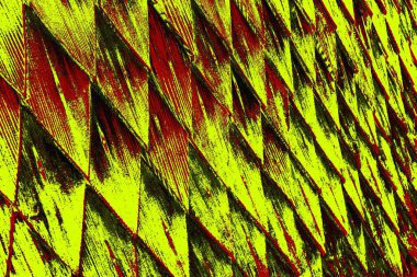  grunge arkaplanı, boşluk duvar kağıdını kopyala, soyut renkli doku arkaplanı