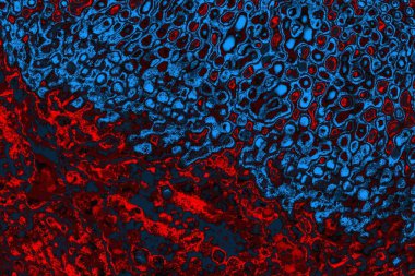 soyut mavi ve kırmızı doku, grunge arkaplan, boşluk duvar kağıdını kopyala