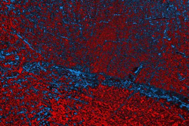 soyut doku, grunge arkaplan, boşluk duvar kağıdını kopyala   