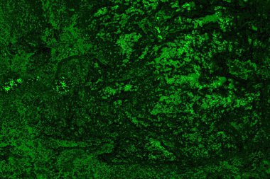 Soyut renk dokusu, grunge arkaplanı, boşluk duvar kağıdını kopyala