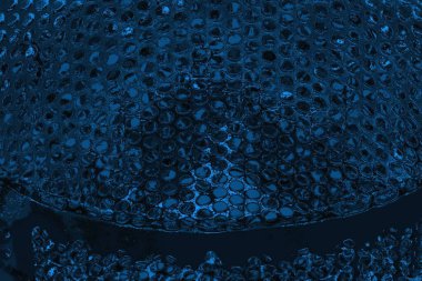 soyut doku, grunge arkaplan, boşluk duvar kağıdını kopyala      