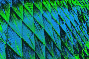 Boşluk duvar kağıdını, grunge arkaplanını, soyut renkli doku arkaplanını kopyala