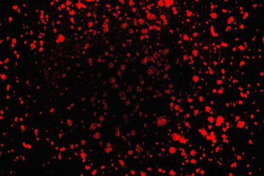 Soyut renk dokusu, grunge arkaplanı, boşluk duvar kağıdını kopyala