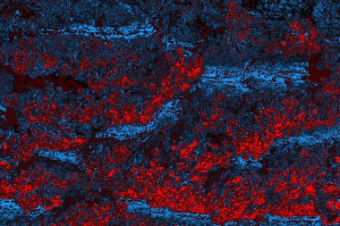 soyut mavi ve kırmızı doku, grunge arkaplan, boşluk duvar kağıdını kopyala