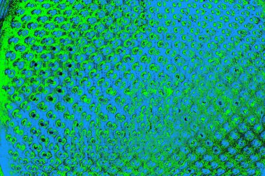 Boşluk duvar kağıdını, grunge arkaplanını, soyut renkli doku arkaplanını kopyala