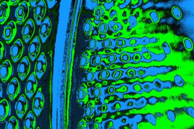 soyut yeşil doku, arkaplan, duvar kağıdını kopyala