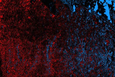 soyut mavi ve kırmızı doku, grunge arkaplan, boşluk duvar kağıdını kopyala