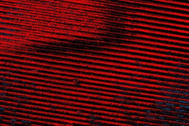 parlak kırmızı doku arkaplanı, boşluk duvar kağıdını kopyala