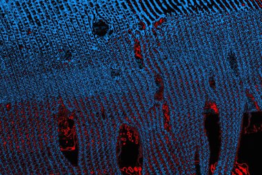 soyut mavi ve kırmızı doku, grunge arkaplan, boşluk duvar kağıdını kopyala