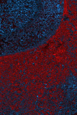 Soyut renk dokusu, grunge arkaplanı, boşluk duvar kağıdını kopyala