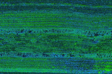 Boşluk duvar kağıdını, grunge arkaplanını, soyut renkli doku arkaplanını kopyala