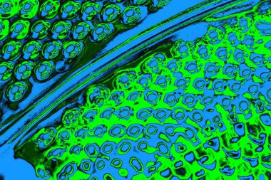 soyut yeşil doku, arkaplan, duvar kağıdını kopyala