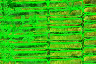 soyut yeşil doku arkaplanı, boşluk duvar kağıdını kopyala