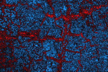 soyut mavi ve kırmızı doku, grunge arkaplan, boşluk duvar kağıdını kopyala