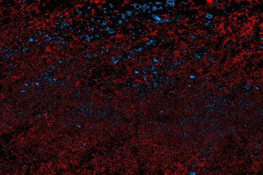 soyut mavi ve kırmızı doku, grunge arkaplan, boşluk duvar kağıdını kopyala