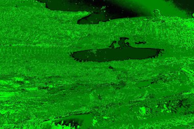 soyut yeşil doku arkaplanı, boşluk duvar kağıdını kopyala