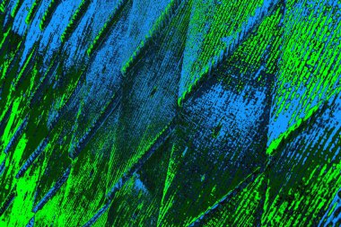 Boşluk duvar kağıdını, grunge arkaplanını, soyut renkli doku arkaplanını kopyala