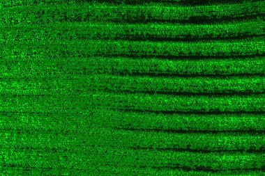 soyut yeşil doku arkaplanı, boşluk duvar kağıdını kopyala