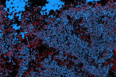 soyut mavi ve kırmızı doku, grunge arkaplan, boşluk duvar kağıdını kopyala