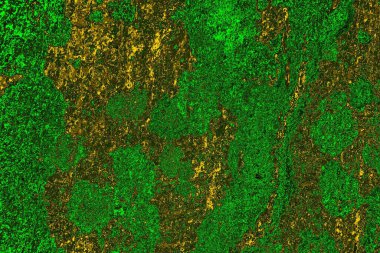 Soyut renk dokusu, grunge arkaplanı, boşluk duvar kağıdını kopyala