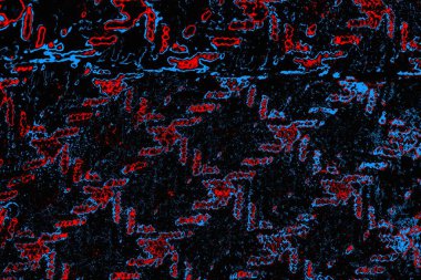 soyut mavi ve kırmızı doku, grunge arkaplan, boşluk duvar kağıdını kopyala