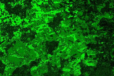 soyut yeşil doku arkaplanı, boşluk duvar kağıdını kopyala