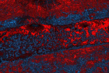 soyut doku, grunge arkaplan, boşluk duvar kağıdını kopyala