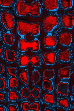 Soyut renk dokusu, grunge arkaplanı, boşluk duvar kağıdını kopyala