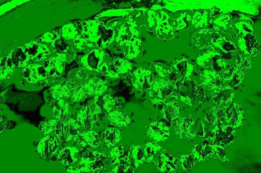 soyut yeşil doku arkaplanı, boşluk duvar kağıdını kopyala