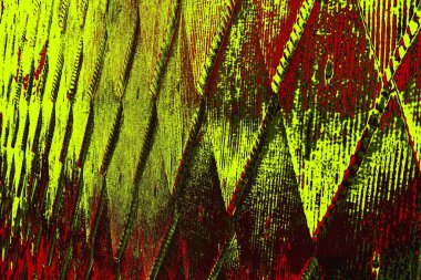  grunge arkaplanı, boşluk duvar kağıdını kopyala, soyut renkli doku arkaplanı