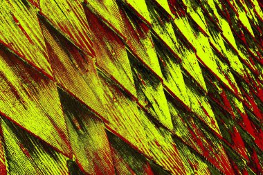  grunge arkaplanı, boşluk duvar kağıdını kopyala, soyut renkli doku arkaplanı